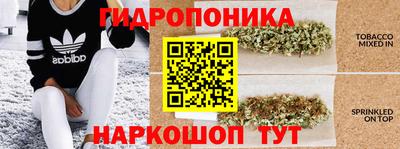 крисы Белорецк