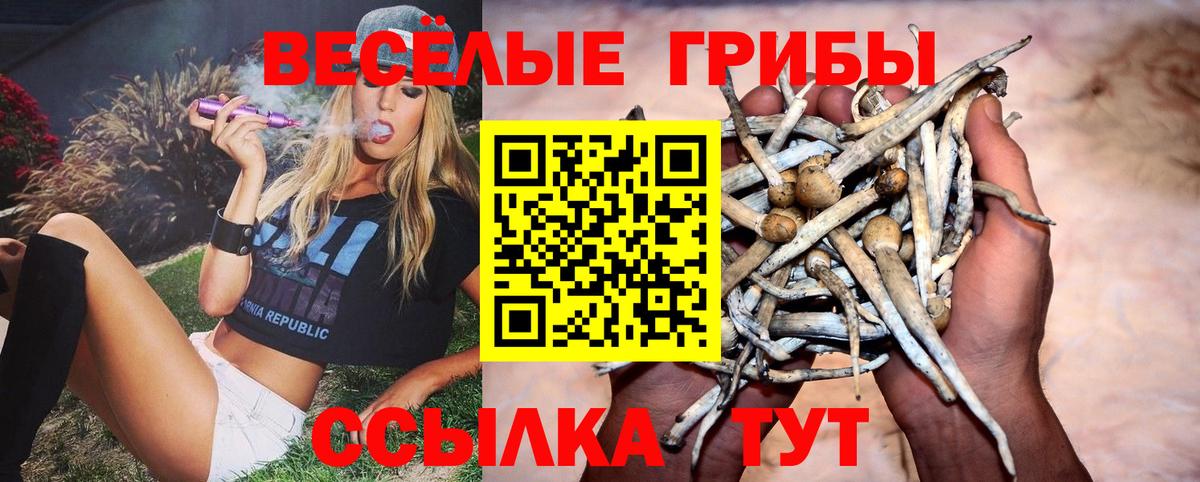 Псилоцибиновые грибы мицелий  Вход с VPN  Новый Уренгой 